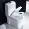 S Trap Standard Size One Piece Elongated Toilet Floor Mounted Commode