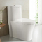 American Standard Comfort Height White Bathroom Toilet With Powerful Dual Flush