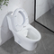 Ceramic One Piece Toilet Self Cleaning Glazed Surface 1.6 Gpf Elongated Toilet