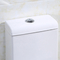 1.0 Gpf Ceramic American Standard One Piece Dual Flush Toilet Commode