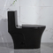 Siphon Dual Flush Valve Bathrooms Toilets Matte Black Csa Toilet With 10.5 Rough In Black