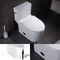 High Efficiency White One Piece Tall Elongated Toilets Bowl MAP800G