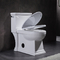 Lavatory Standard Height Skirted Toilet One Piece Toilet With Side Flush 4.8LPF