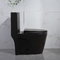 One-Piece Elongated Dual-Flush Toilet With Skirted Trapway White Black 680mm